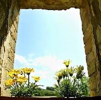 أفضل العروض ل كال كسيلين كولونجي د سغاره