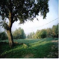 Best offers for El Teixell Olost