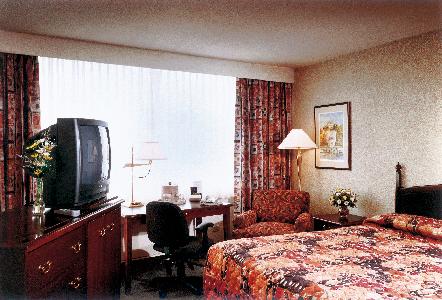 Radisson Hotel Winnipeg Downtown - Superior