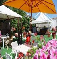 Best offers for Coralba Ischia