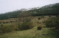 أفضل العروض ل ريفوخىو لا وندييا ماتابوينا