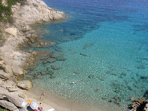 L ANCORA