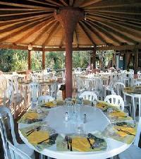 أفضل العروض ل  تورتولي