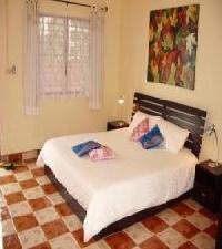 أفضل العروض ل  فو ذونج 