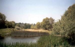 Palacio Viejo de Villares