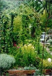 أفضل العروض ل  موغاراز