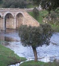 Best offers for El Charro de Yeltes ( Ii) Villares De Yeltes