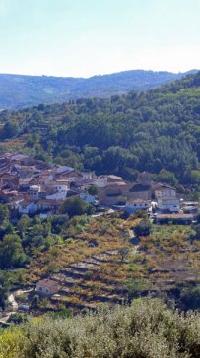 أفضل العروض ل لا يريرا سان استيبان د له سيره