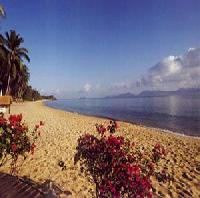 أفضل العروض ل  كو ساموي 