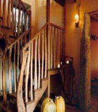 Best offers for Árboles La Bouza