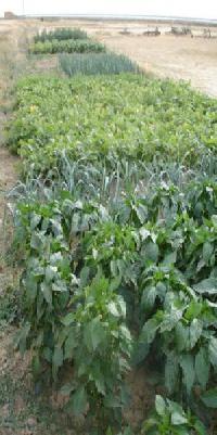 Best offers for La Cañada Del Silo Marcilla De Campos