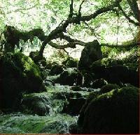 Best offers for Sol Del Mediodí­a Acebedo