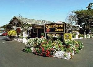 Comfort Inn Munras Avenue