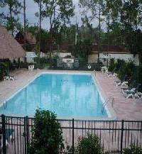 أفضل العروض ل وستجات فندق و اجنحه فندقيه أورلاندو 