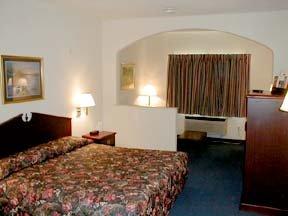 أفضل العروض ل  ناتورال بريدج 