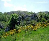 Best offers for Casa de La Pradera Olmos de Atapuerca