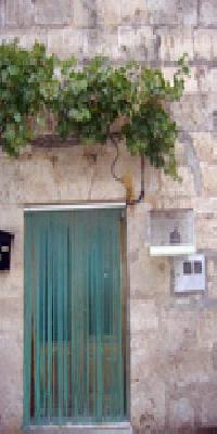 أفضل العروض ل كاسار ارنايث هونتاناس