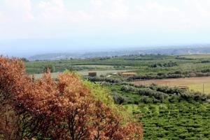 Best offers for CASA LIMBADI Limbadi