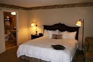 Hampton Inn Lake Buena Vista / Orlando