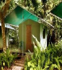 Best offers for Jungle Lodge Cairns 