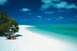 Heron Island Resort
