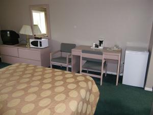 أفضل العروض ل سلكيركان جولدن