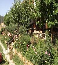 أفضل العروض ل دي ريوبار ريوبار