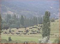 أفضل العروض ل كورتيخو بوينتي فاكو ريوبار