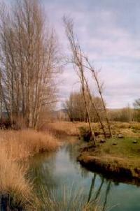 Best offers for La Bodega Del Abuelo (2) Bujalaro