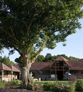 Old Thorns Hotel, Golf and Country Estate