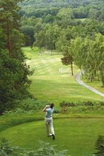 Old Thorns Hotel, Golf and Country Estate