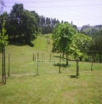 Best offers for Apartamentos Rurales Rulolla Róiz