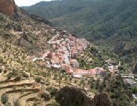 أفضل العروض ل  اينه