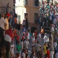 Best offers for Moreno Elche De La Sierra