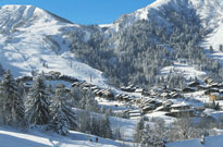 P.V. Les Chalets Du Morel
