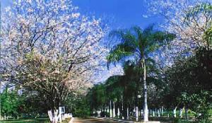 أفضل العروض ل فندق اجوا فيفا تهيرماس كلوبي فيرناندوبوليس