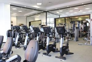 Best offers for WELK RESORTS SIRENA DEL MAR Cabo San Lucas