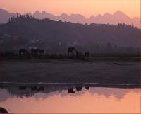 Best offers for Posada Mellante PECHON