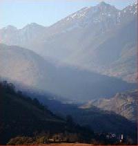 أفضل العروض ل  فونتيبري