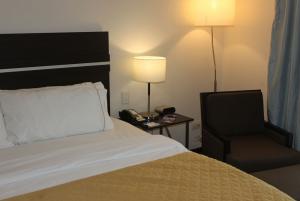 أفضل العروض ل وليداي انن اكسبريسس جوايماس سان كارلوس