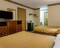 أفضل العروض ل  تشسترتون 