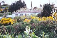 Best offers for El Topo Villa de Garafía