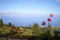 Best offers for Emilia Tijarafe