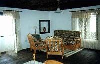 Best offers for Guajara Arico