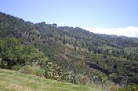 Best offers for La Herbilla Villa de Garafía