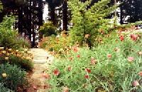 Best offers for La Podona Villa de Garafía