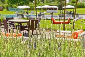 Best offers for GOLF VICHY CATALAN Caldes De Malavella