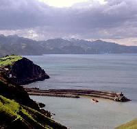 أفضل العروض ل  جتاريه