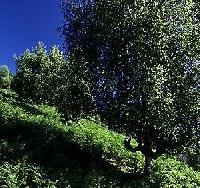 Best offers for Alustiza Villabona