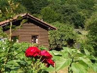 أفضل العروض ل  ديبا